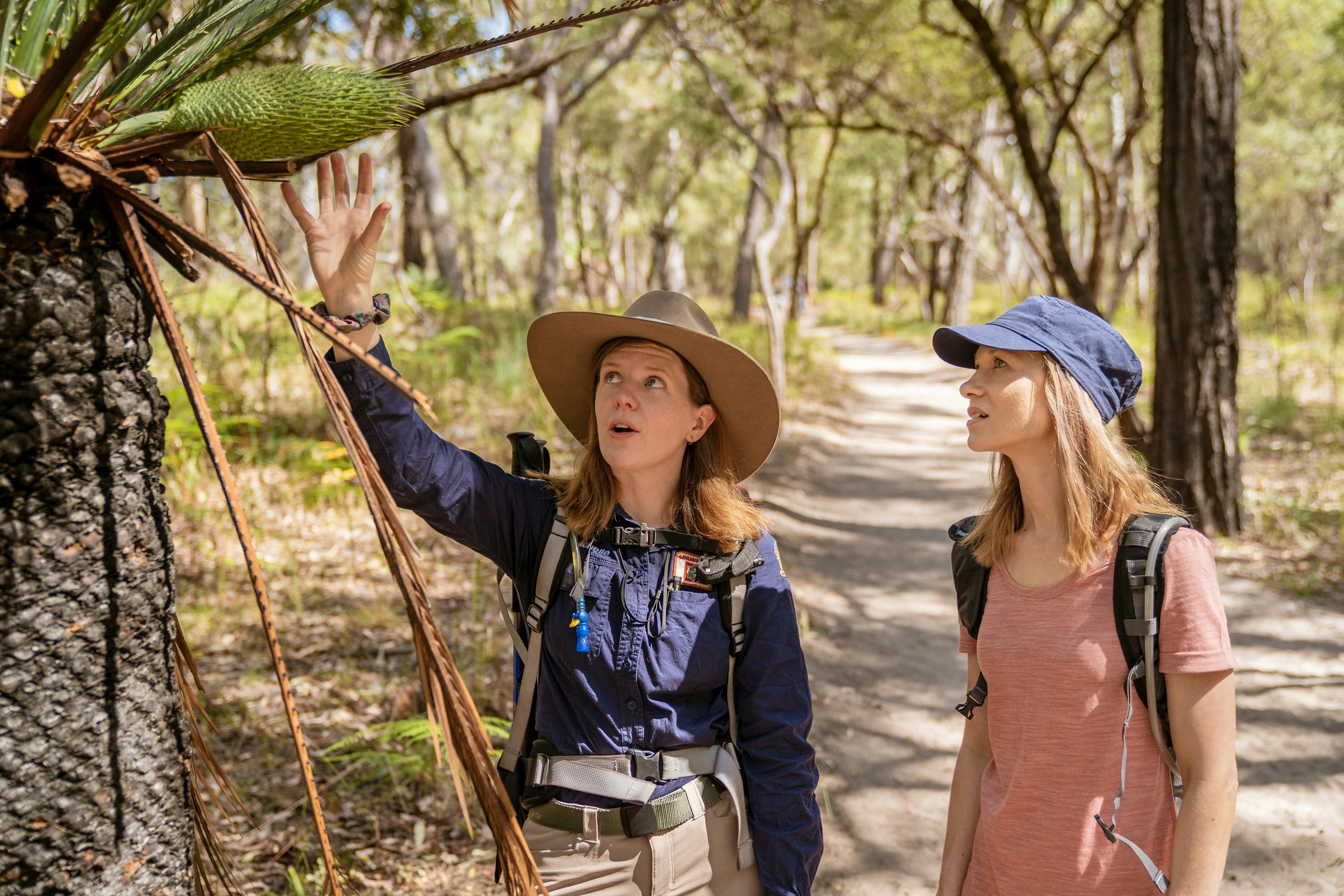 A tour guide points to the cone of a cycad with her guest listening intently at Carnarvon Gorge.