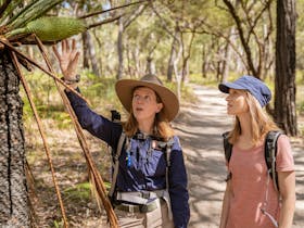 A tour guide points to the cone of a cycad with her guest listening intently at Carnarvon Gorge.