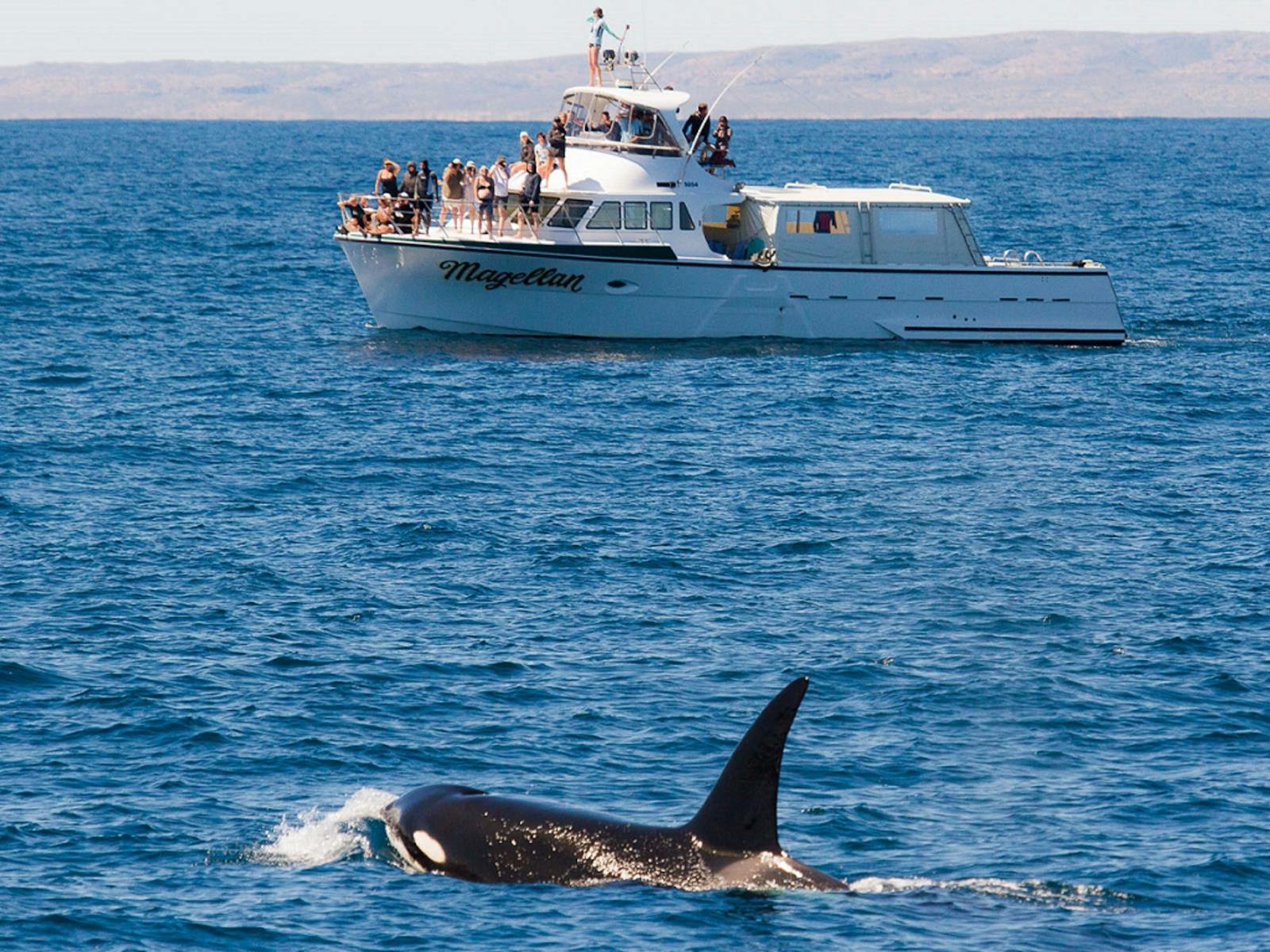 Kings Ningaloo Reef Tours, Exmouth, Western Australia