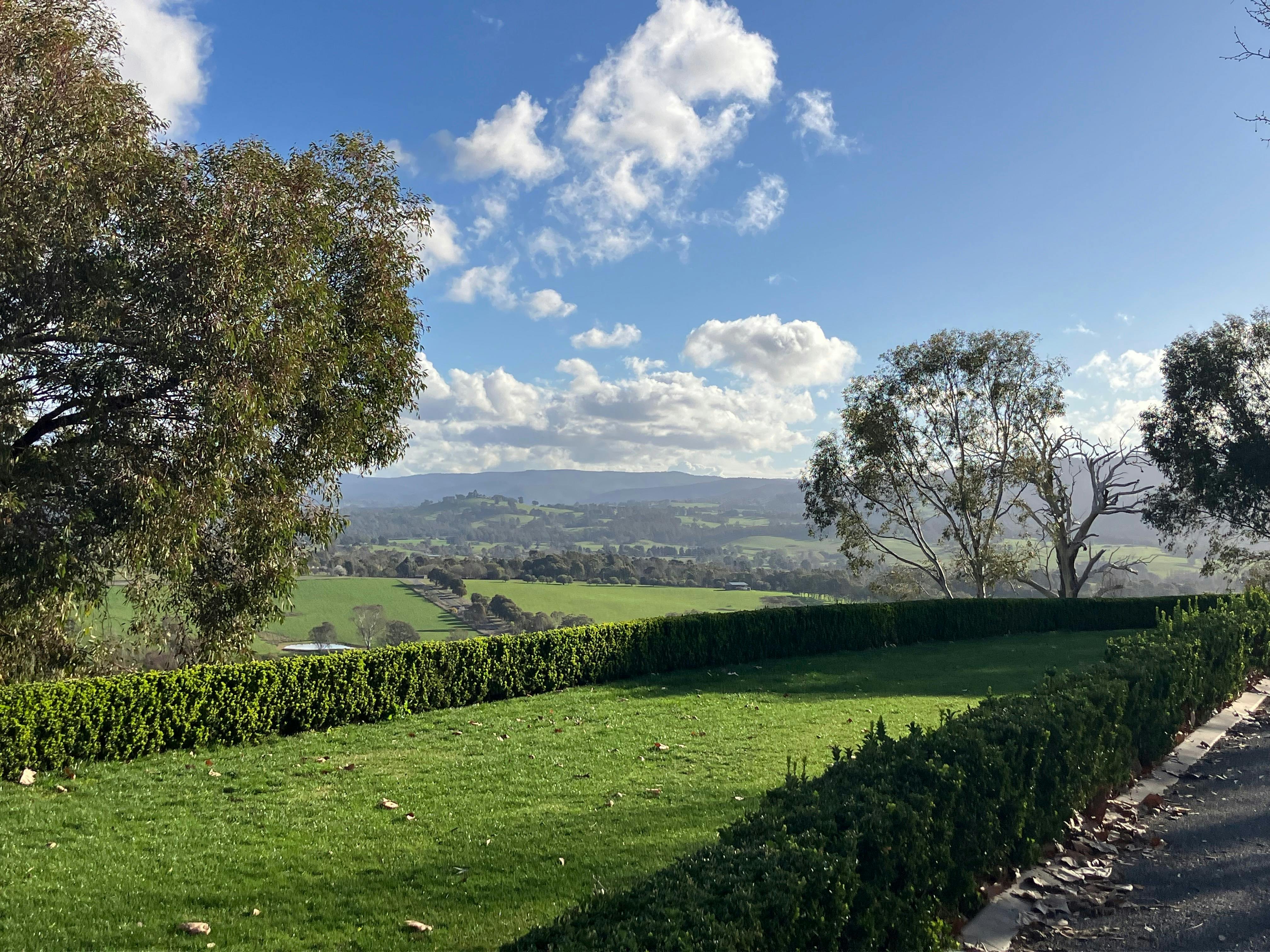 Ceremony grassed area