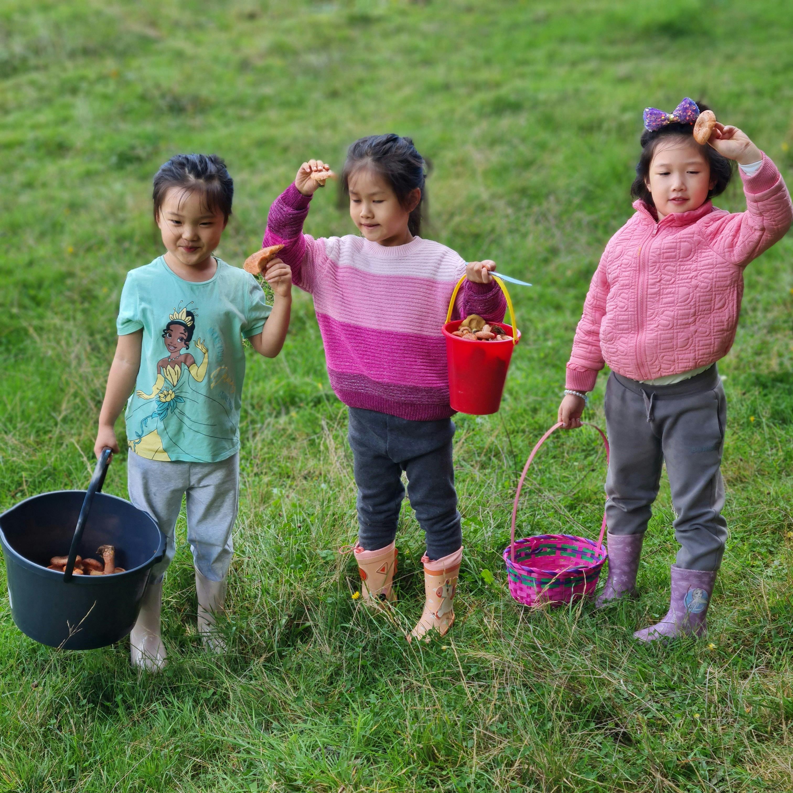 Easter Weekend Wild Mushroom Hunt