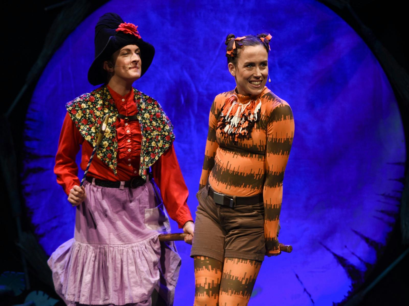 Room on the Broom LIVE