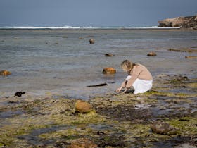Searching for shells at Petrified Forest Cape Northumberland, Port MacDonnell, South Australia
