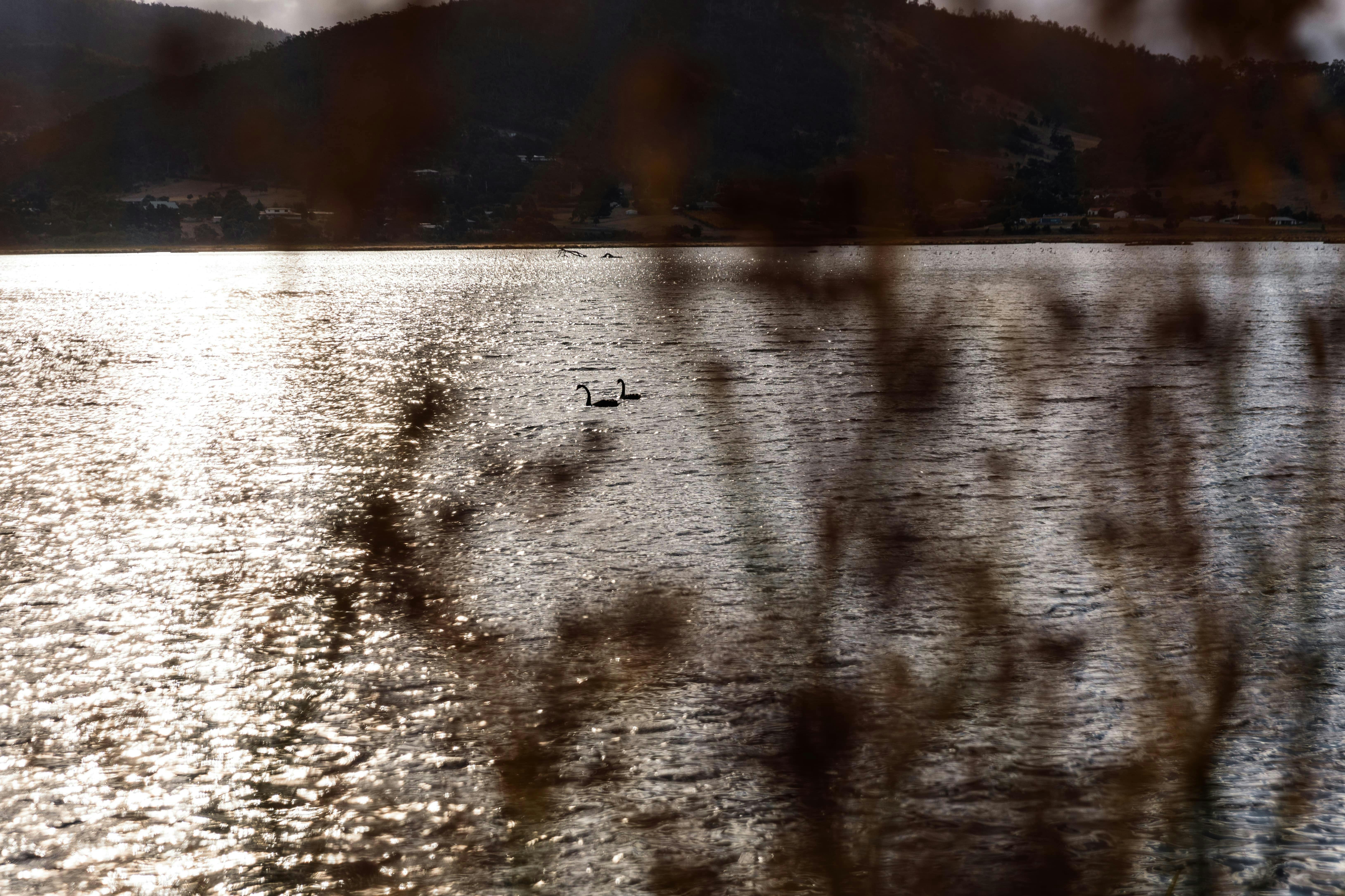 River Derwent Bridgewater
