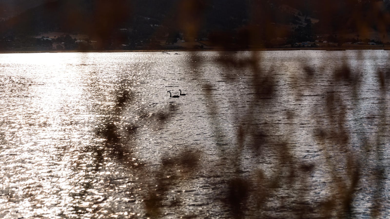 River Derwent Bridgewater