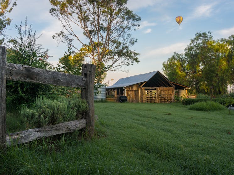 Camden Town Farm