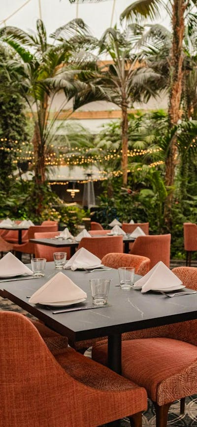 Atrium dining area
