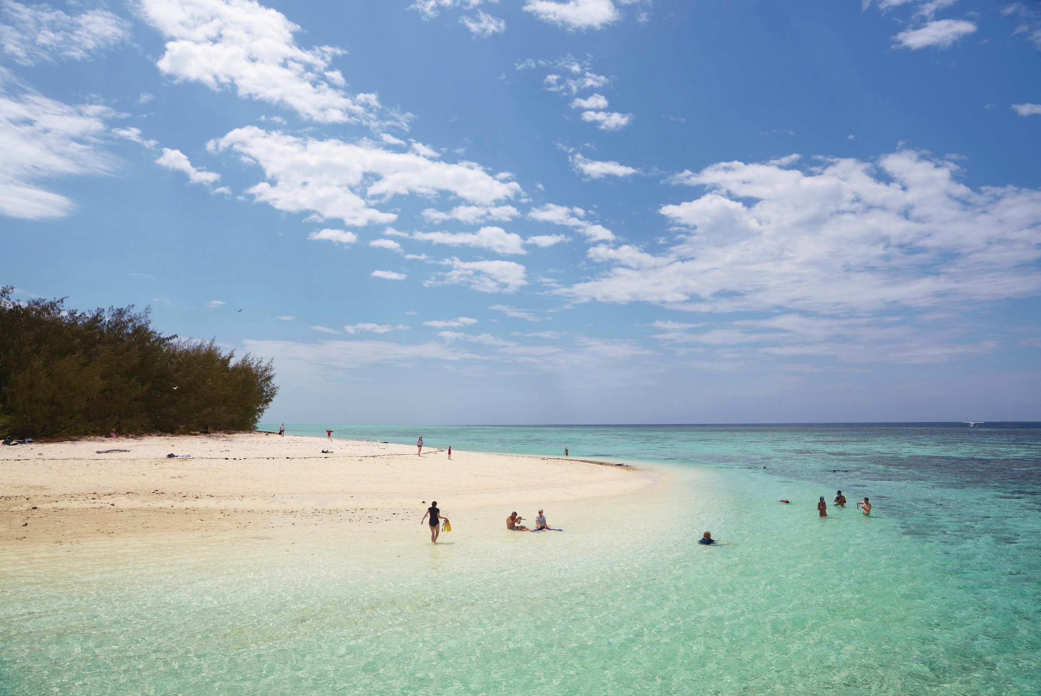 Heron Island