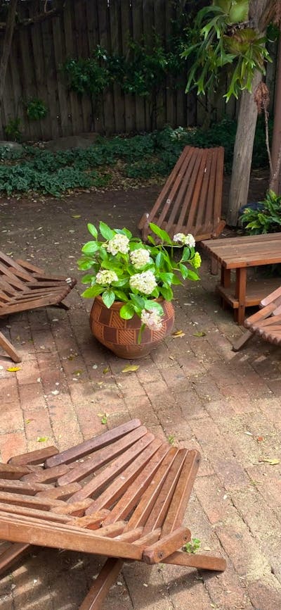 Yass Central B&B Garden