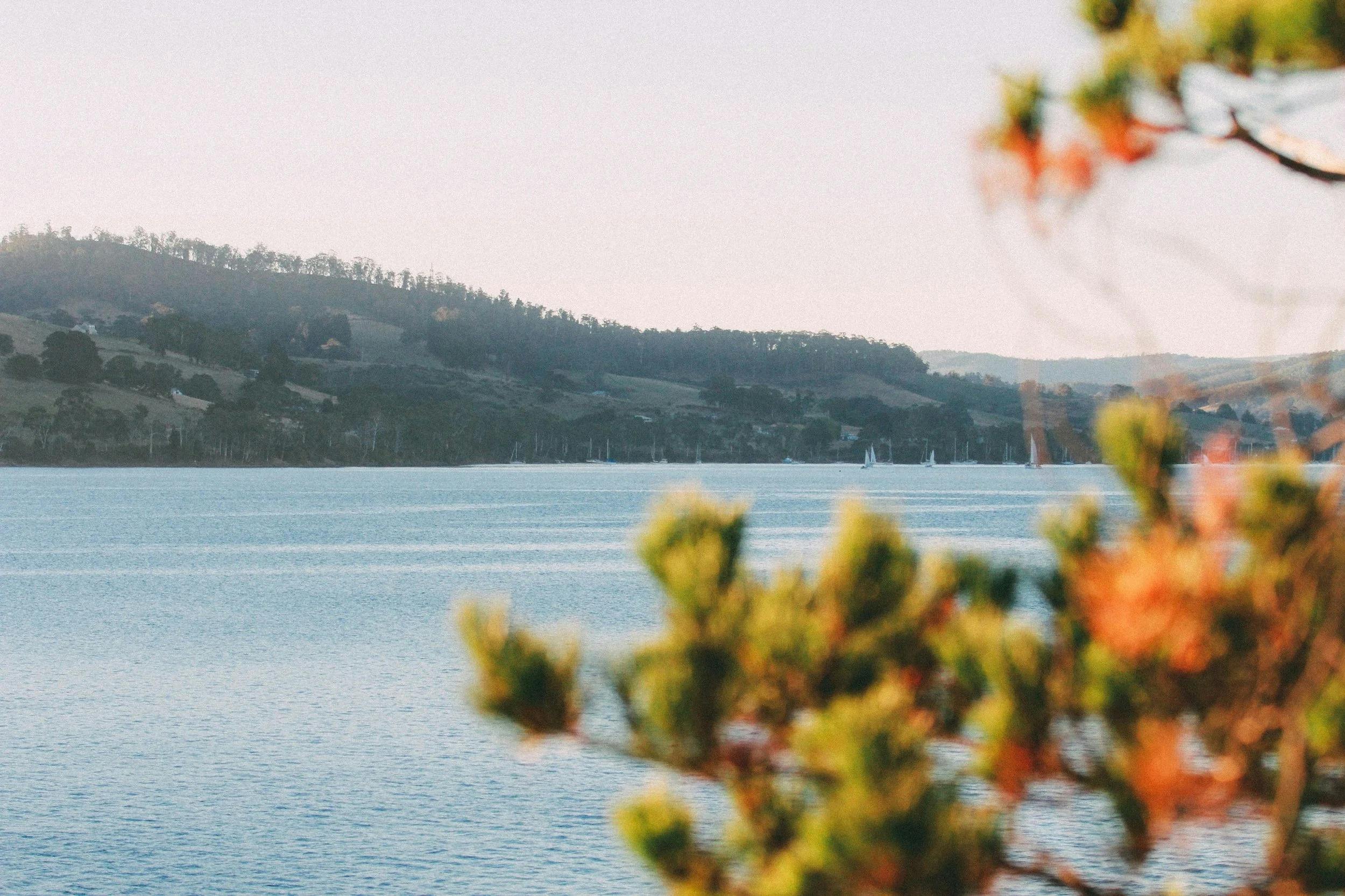 View | Tranquil Point Homestead