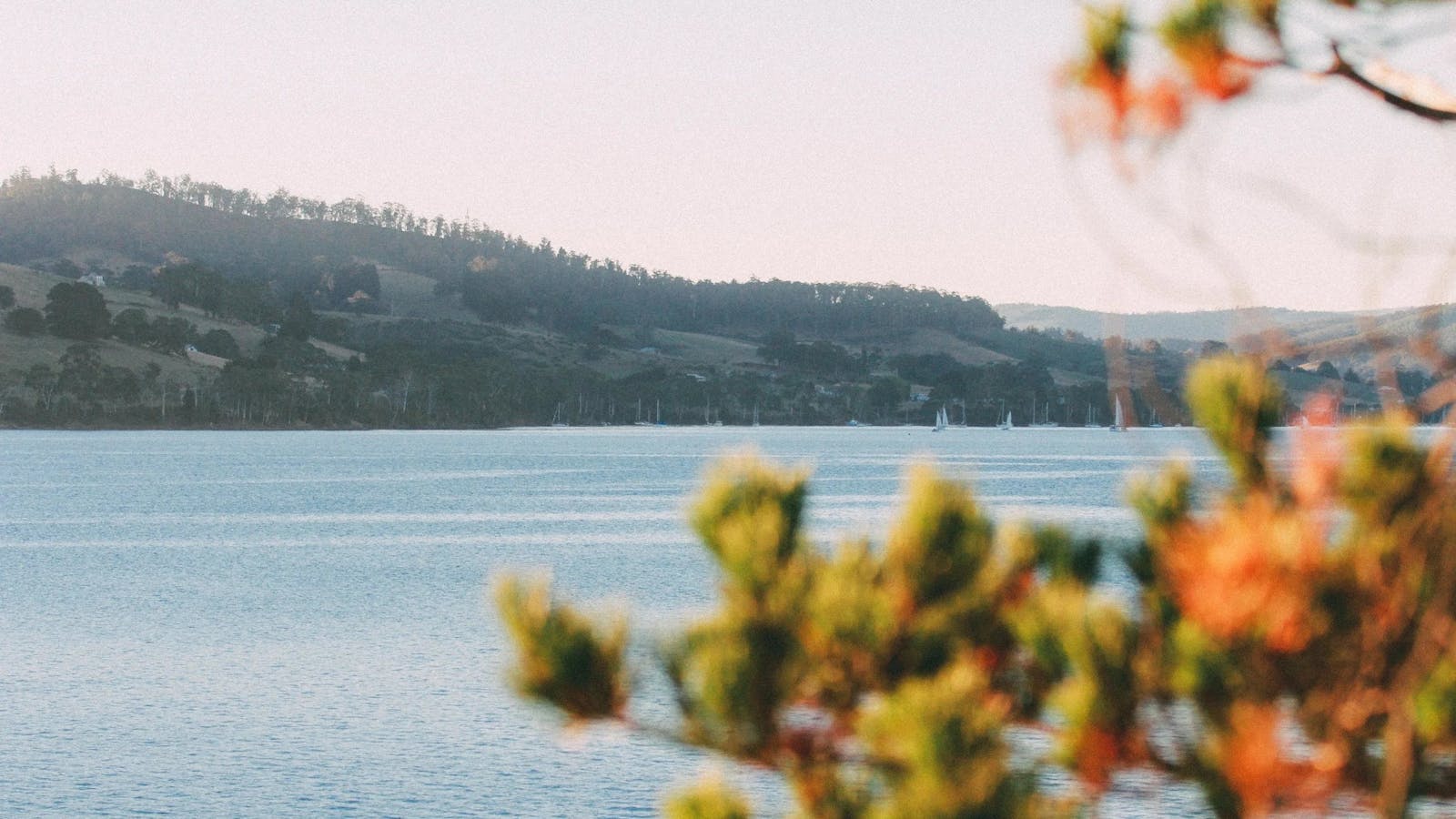 View | Tranquil Point Homestead