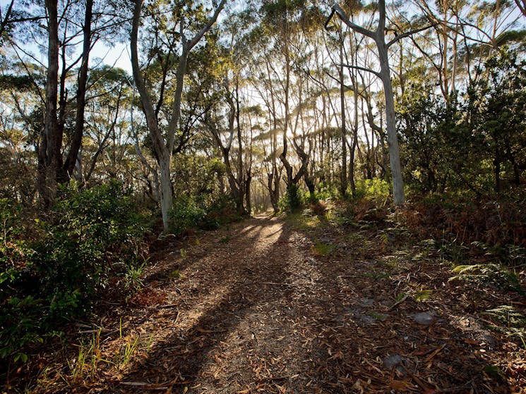 Munyunga Waraga Dhugan Walking Trail,  Booderee National Park