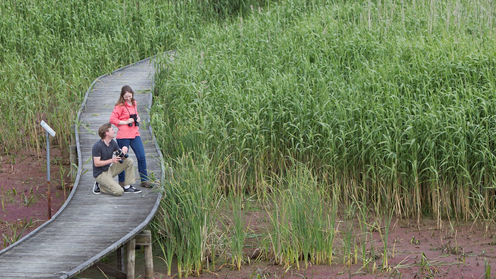 Bool Lagoon Game Reserve and Hacks Lagoon Conservation Park
