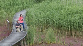 Bool Lagoon Game Reserve and Hacks Lagoon Conservation Park