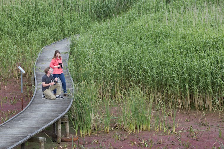 Bool Lagoon Game Reserve and Hacks Lagoon Conservation Park