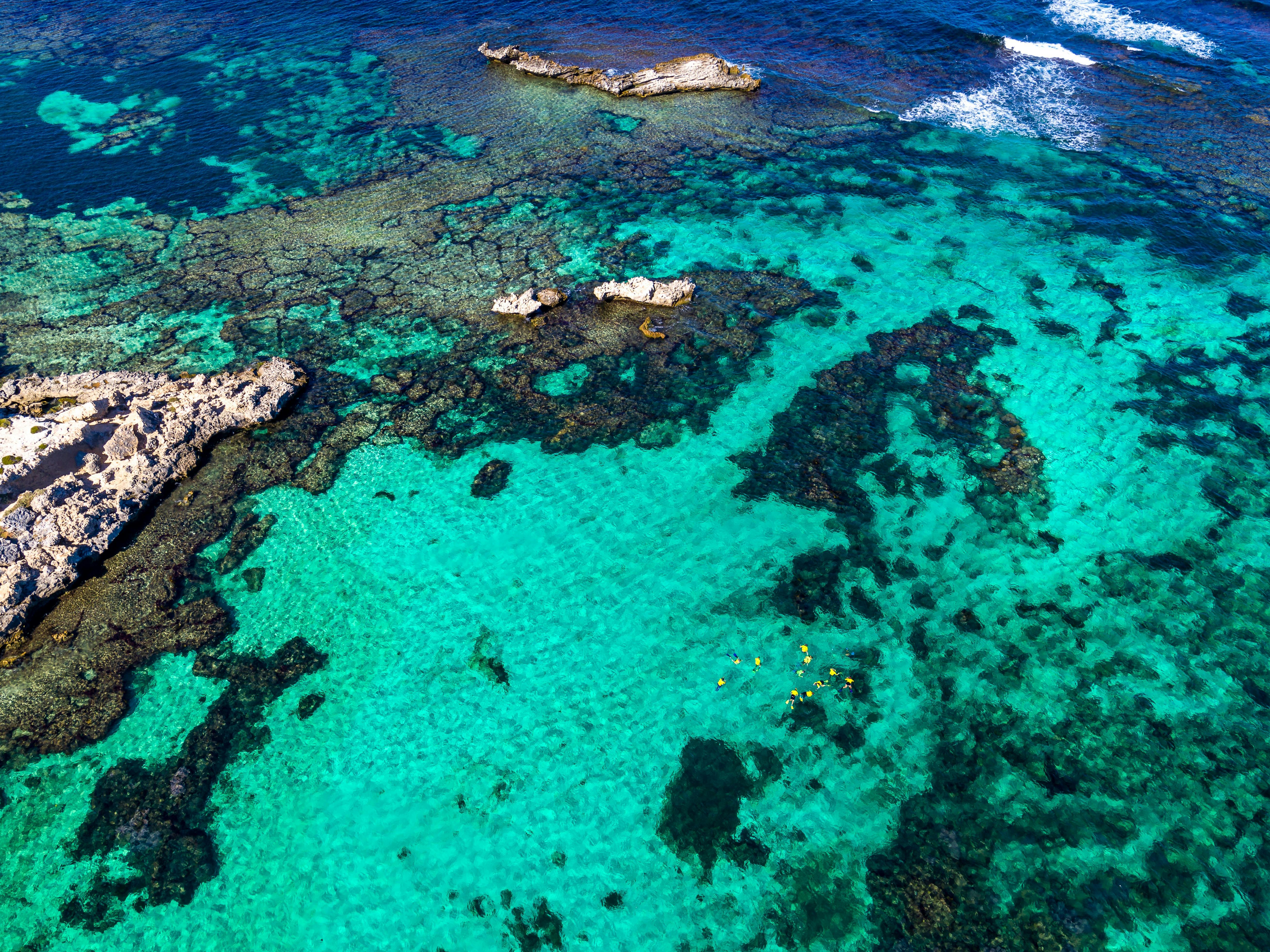 Salmon Bay