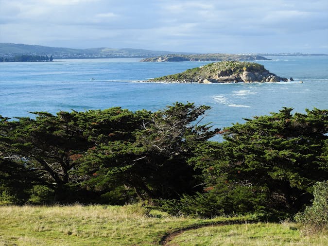 Hills to Sea Full Day Private Tour including Victor Harbor