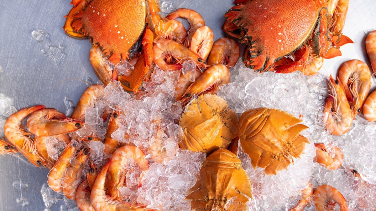 Variety of seafood