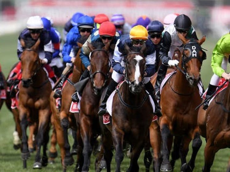 Melbourne cup at Vagabond cruises