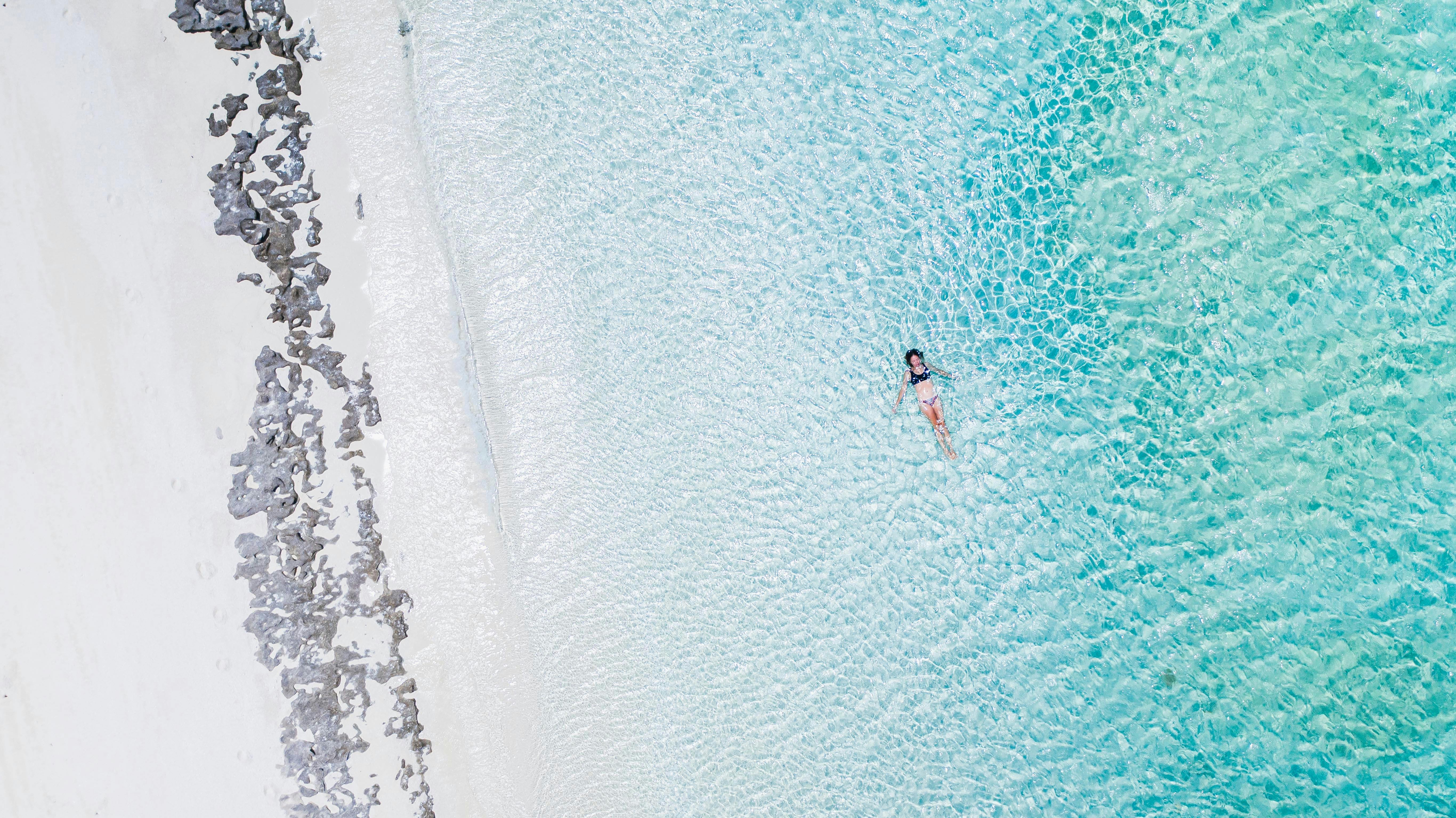 clean shores