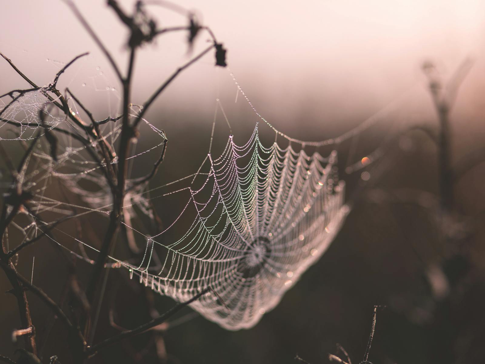 Noticing the small details