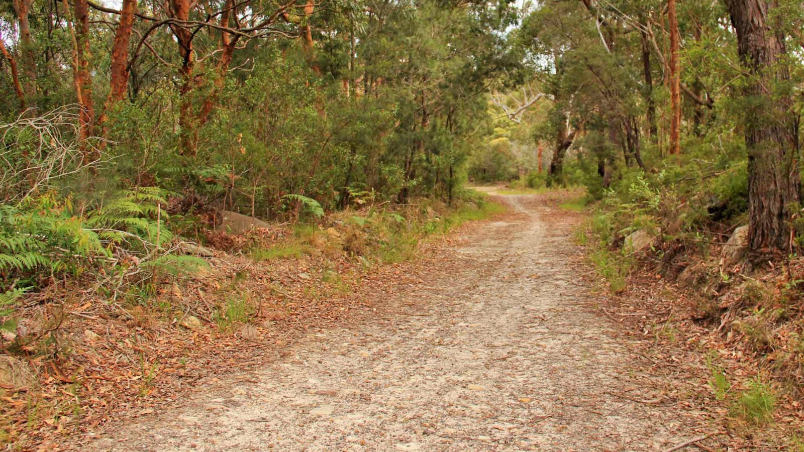 Daleys Point Walking Track