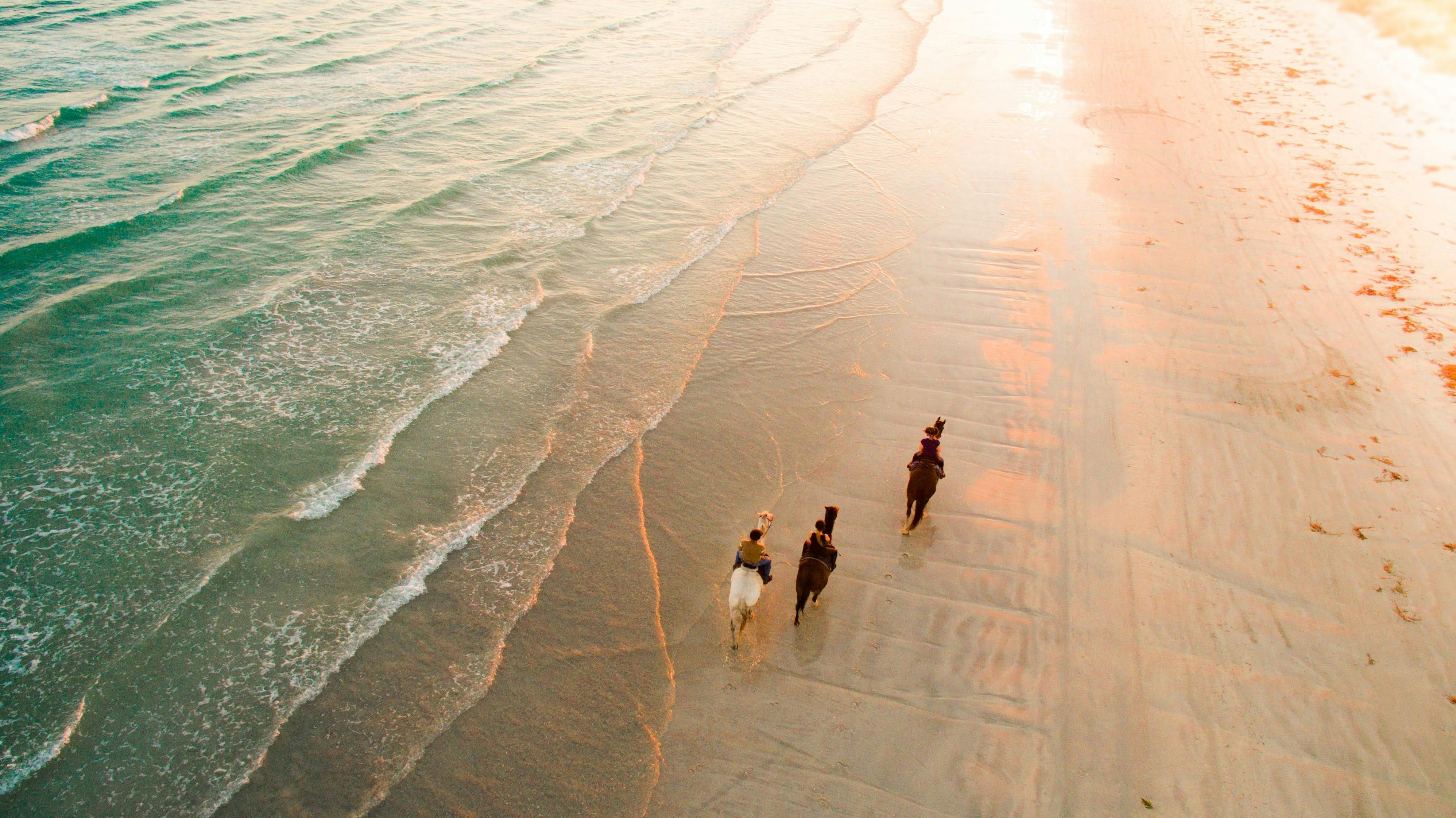 Beach South Australia Adventure by Air