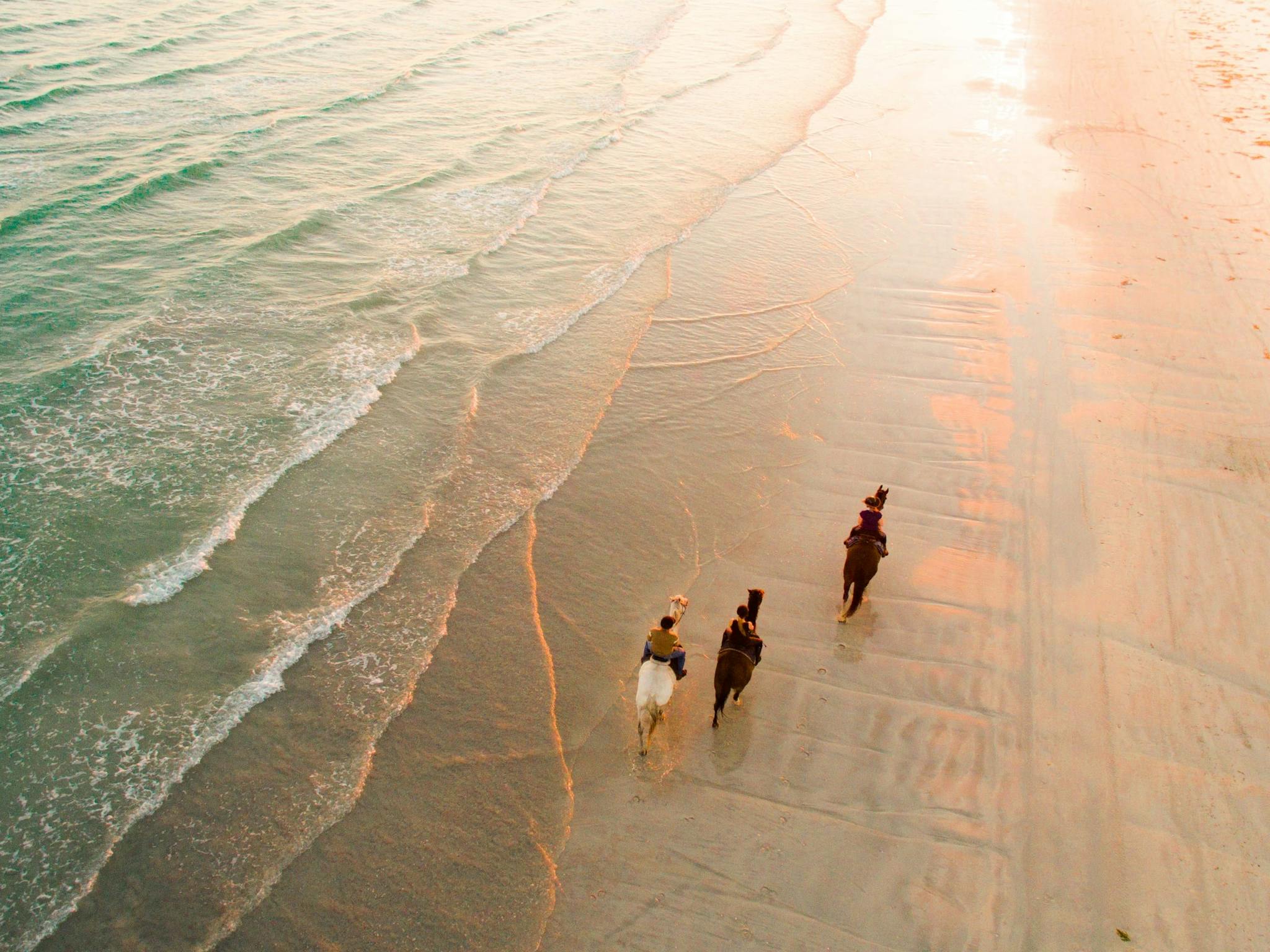 Beach South Australia Adventure by Air