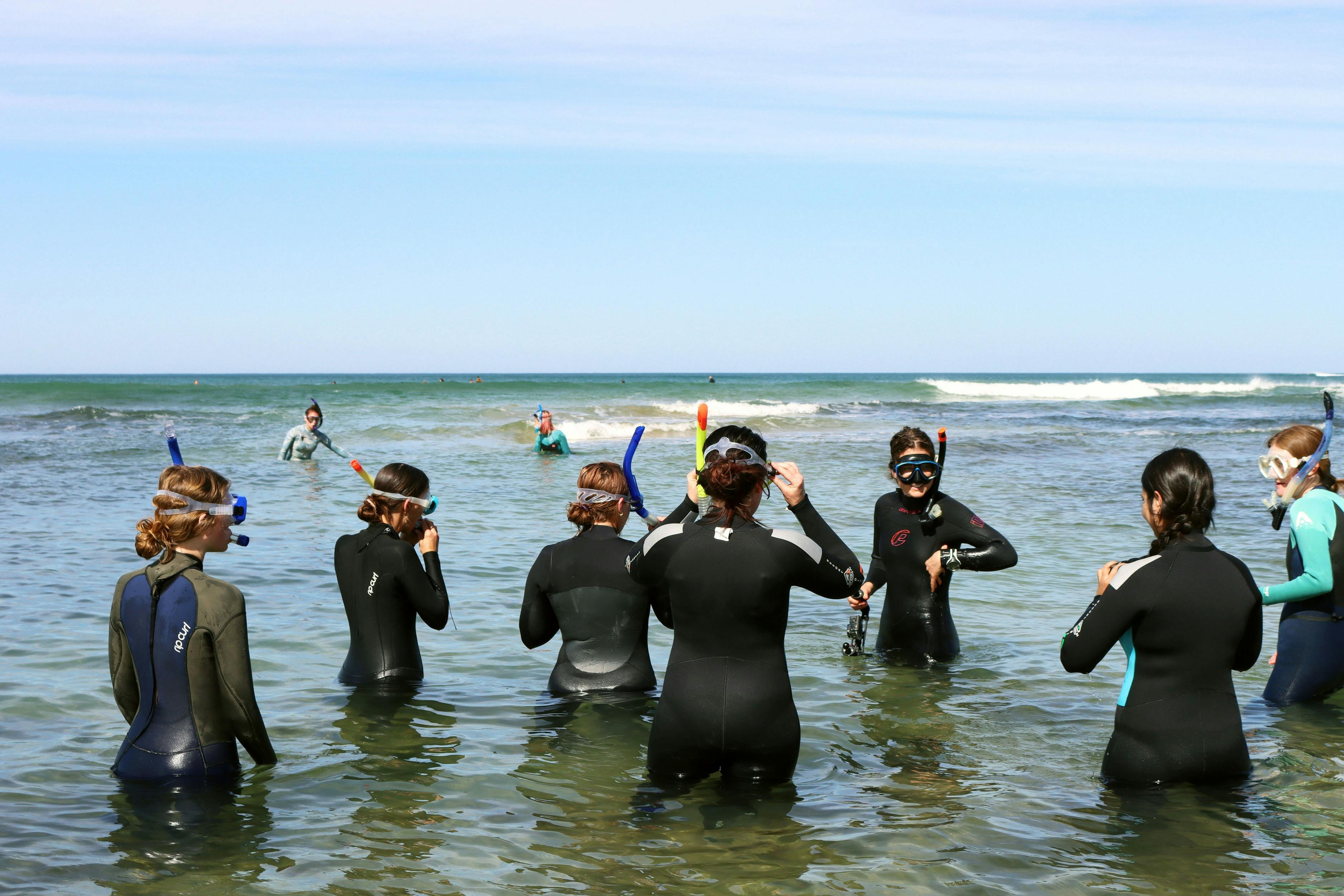 snorkeling adventure Torquay