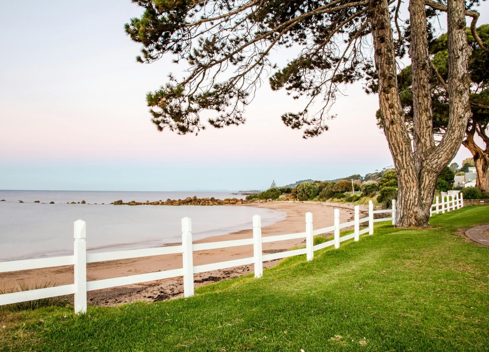 Penguin beach waterfront