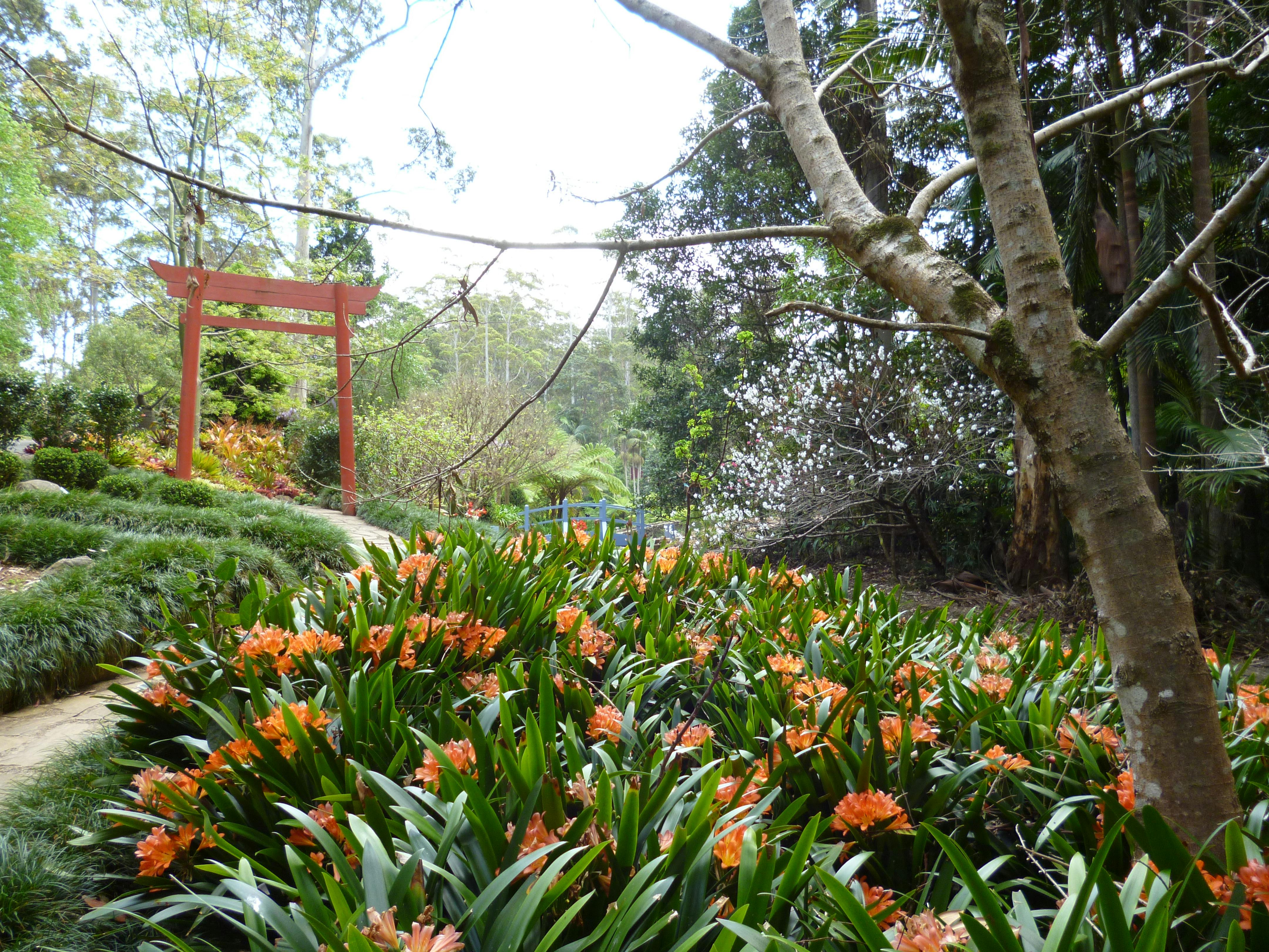 Entry to Japanese garden