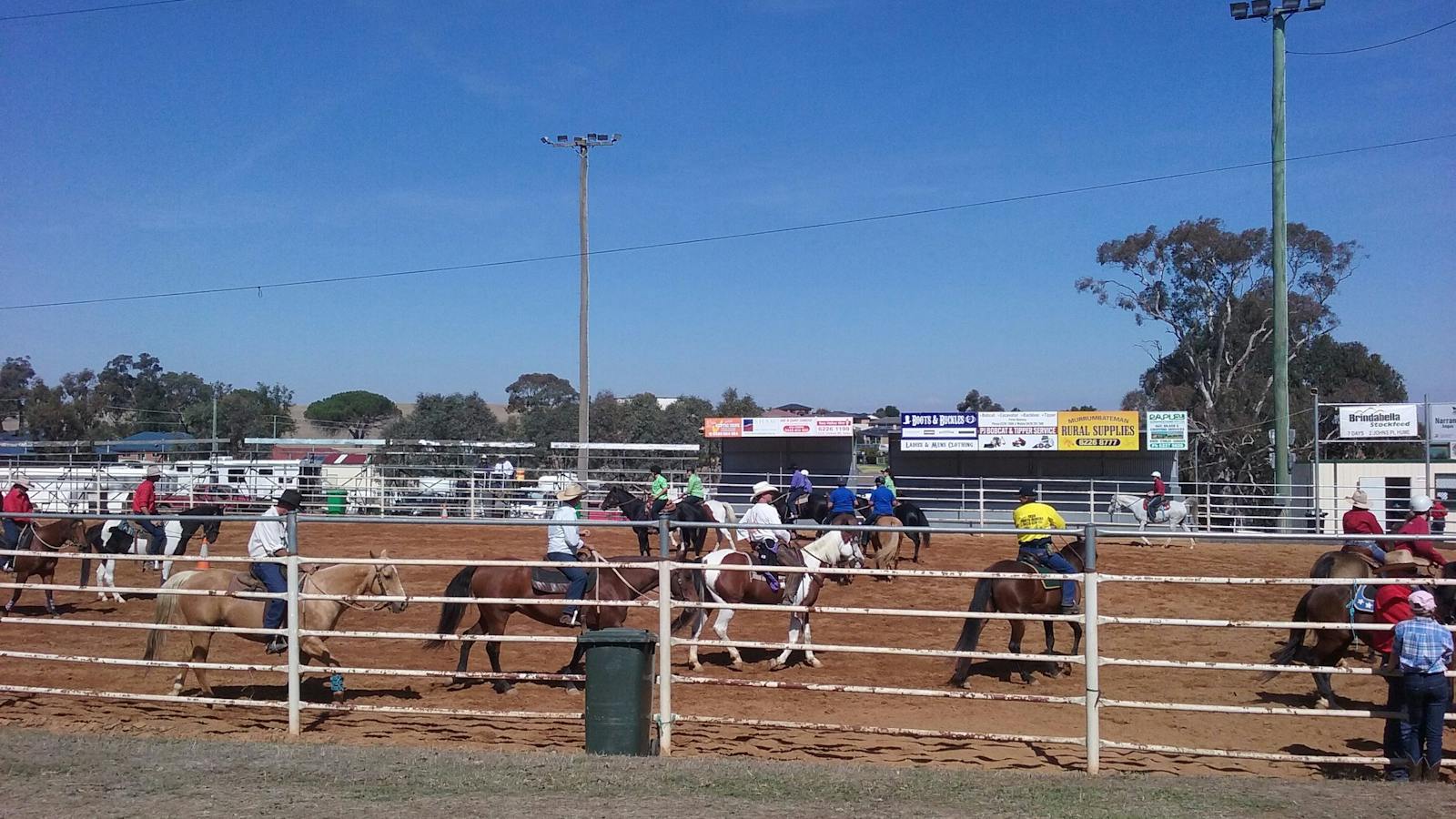 Yass Show Horse events