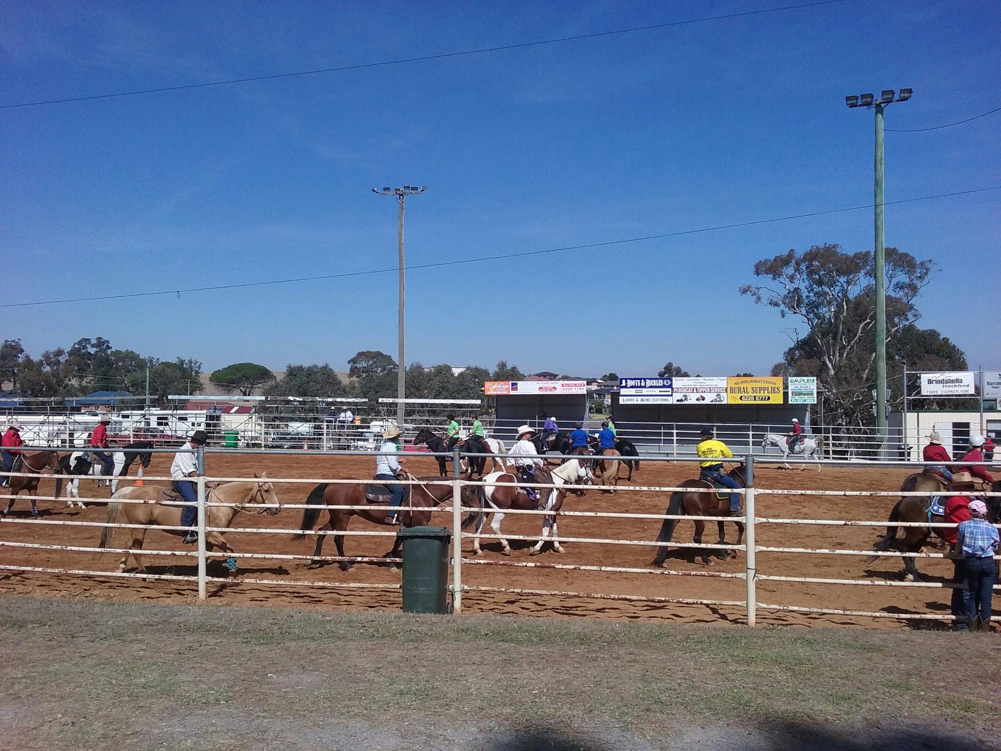 Yass Show Horse events