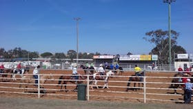 Yass Show Horse events
