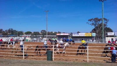 Yass Show Horse events