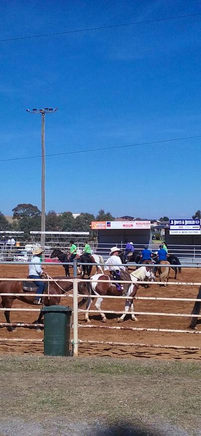 Yass Show Horse events
