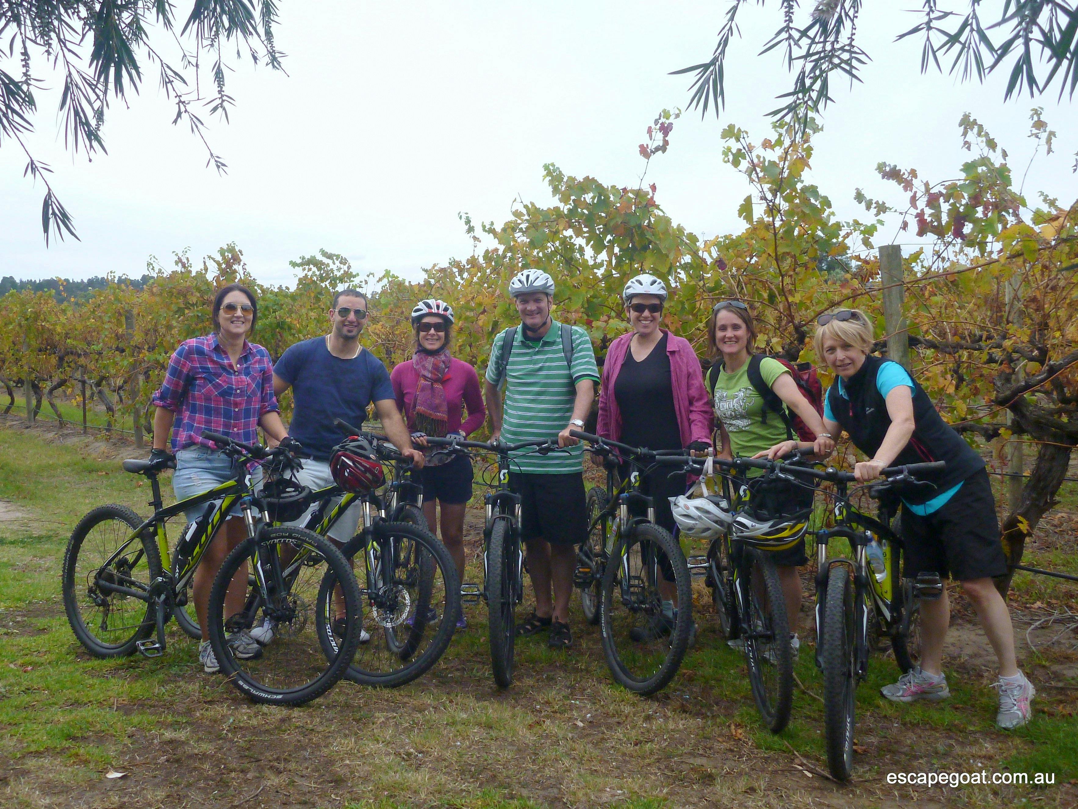 McLaren Vale Bike and Wine Tour