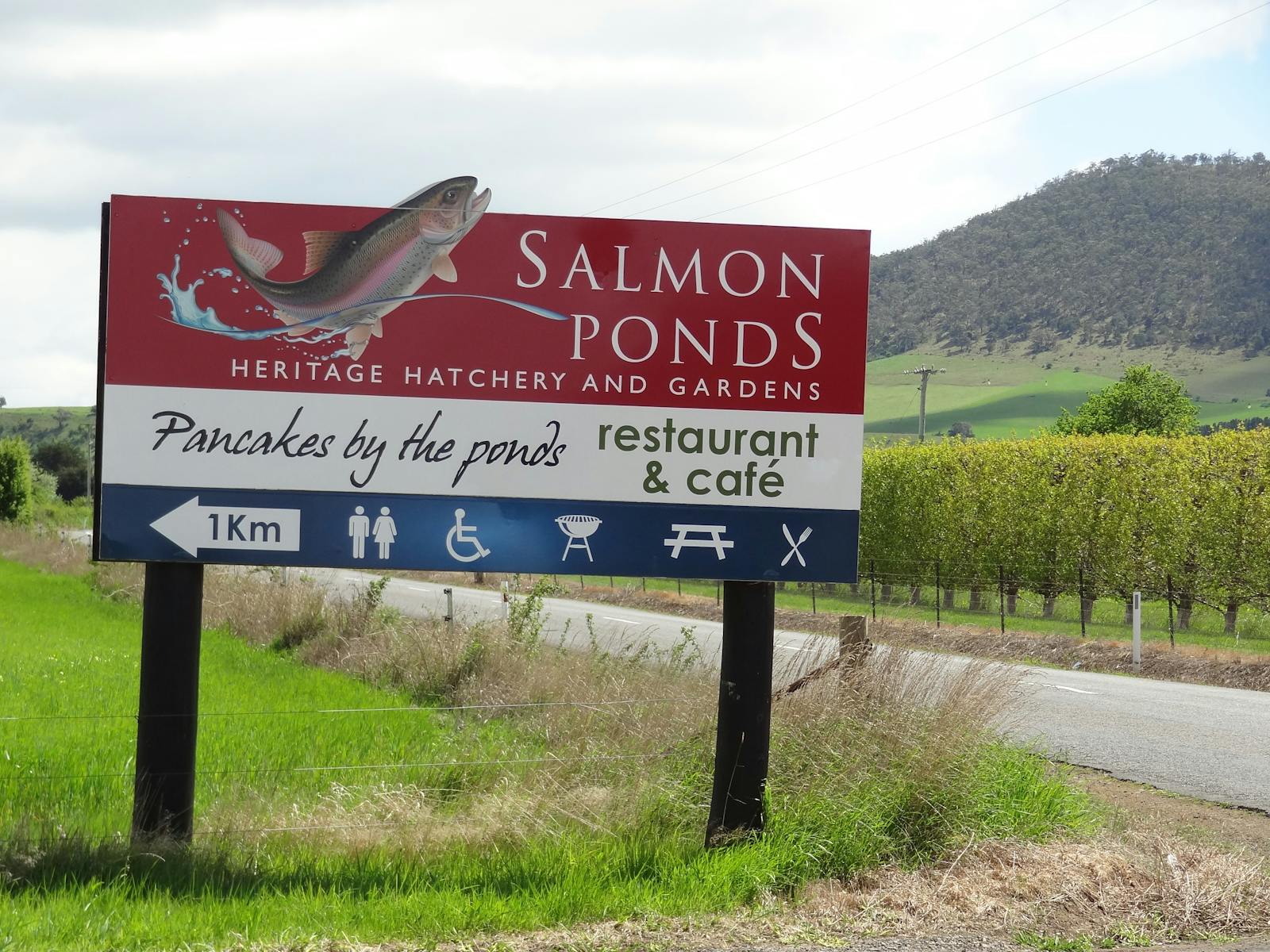 Salmon Ponds