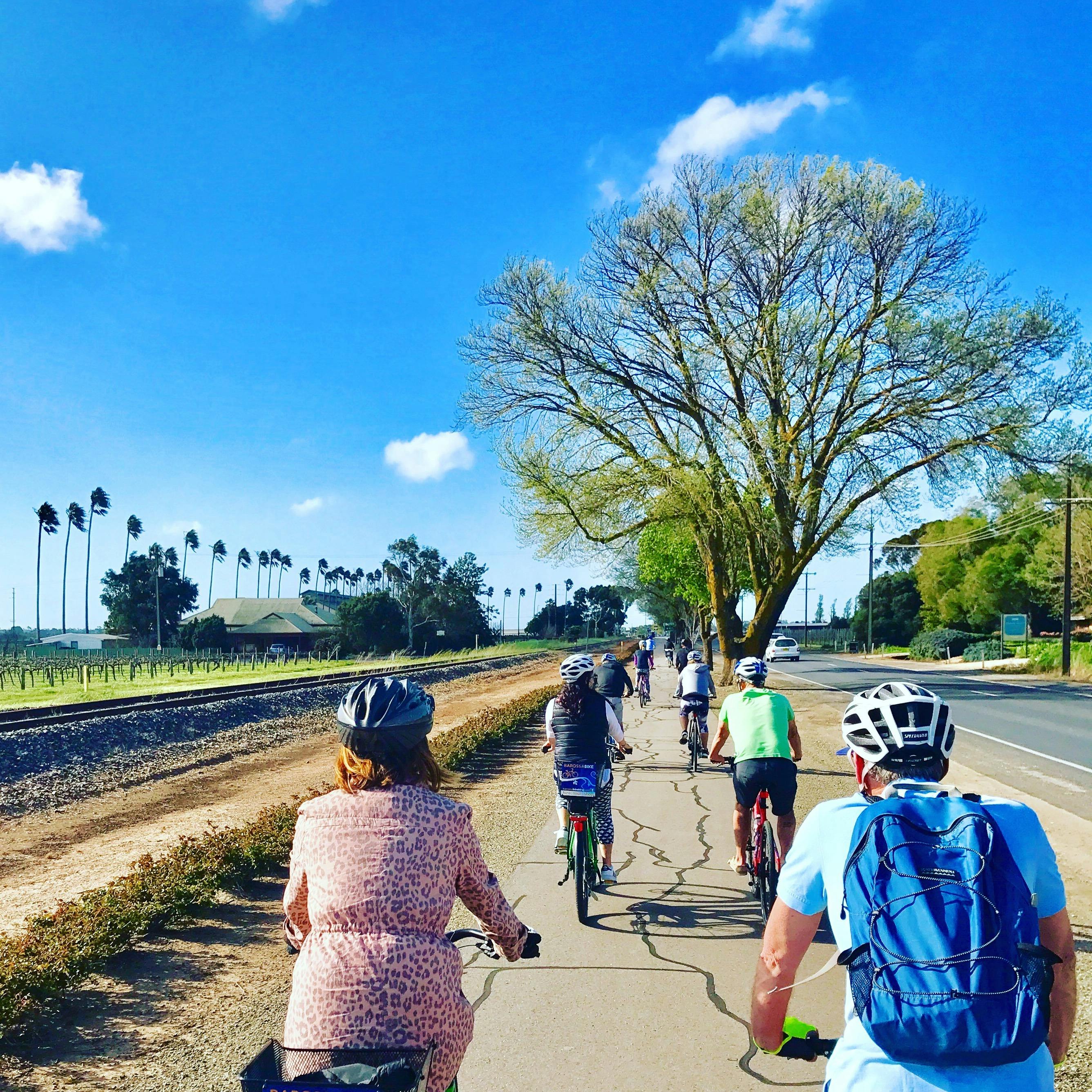 Tour de South Australia Vineyards