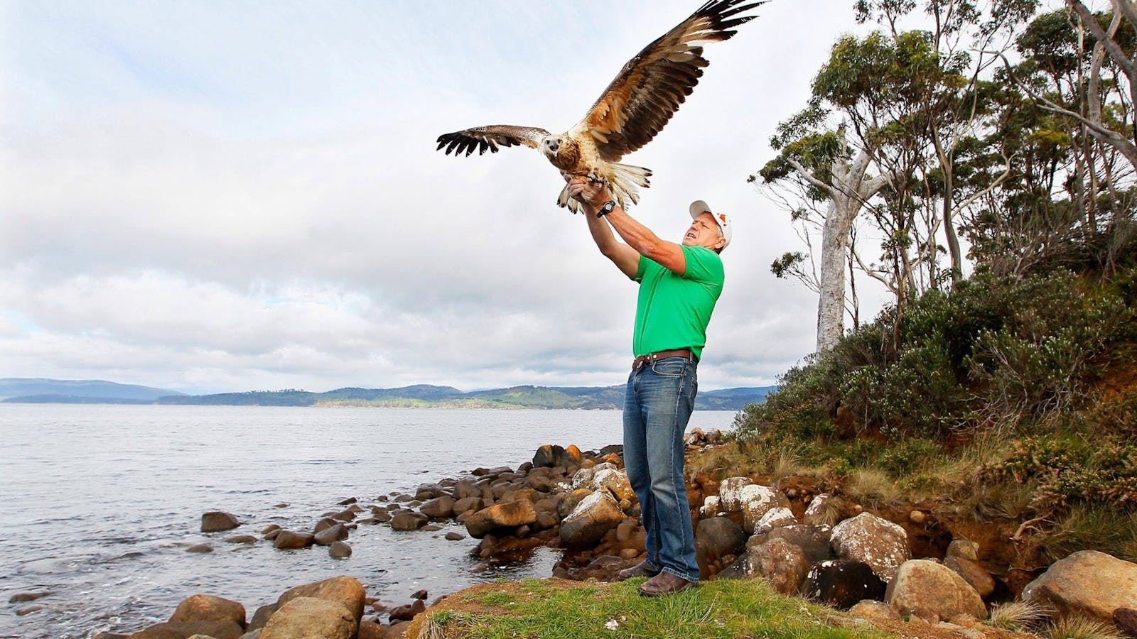 Craig Webb releasing an eagle into the wild