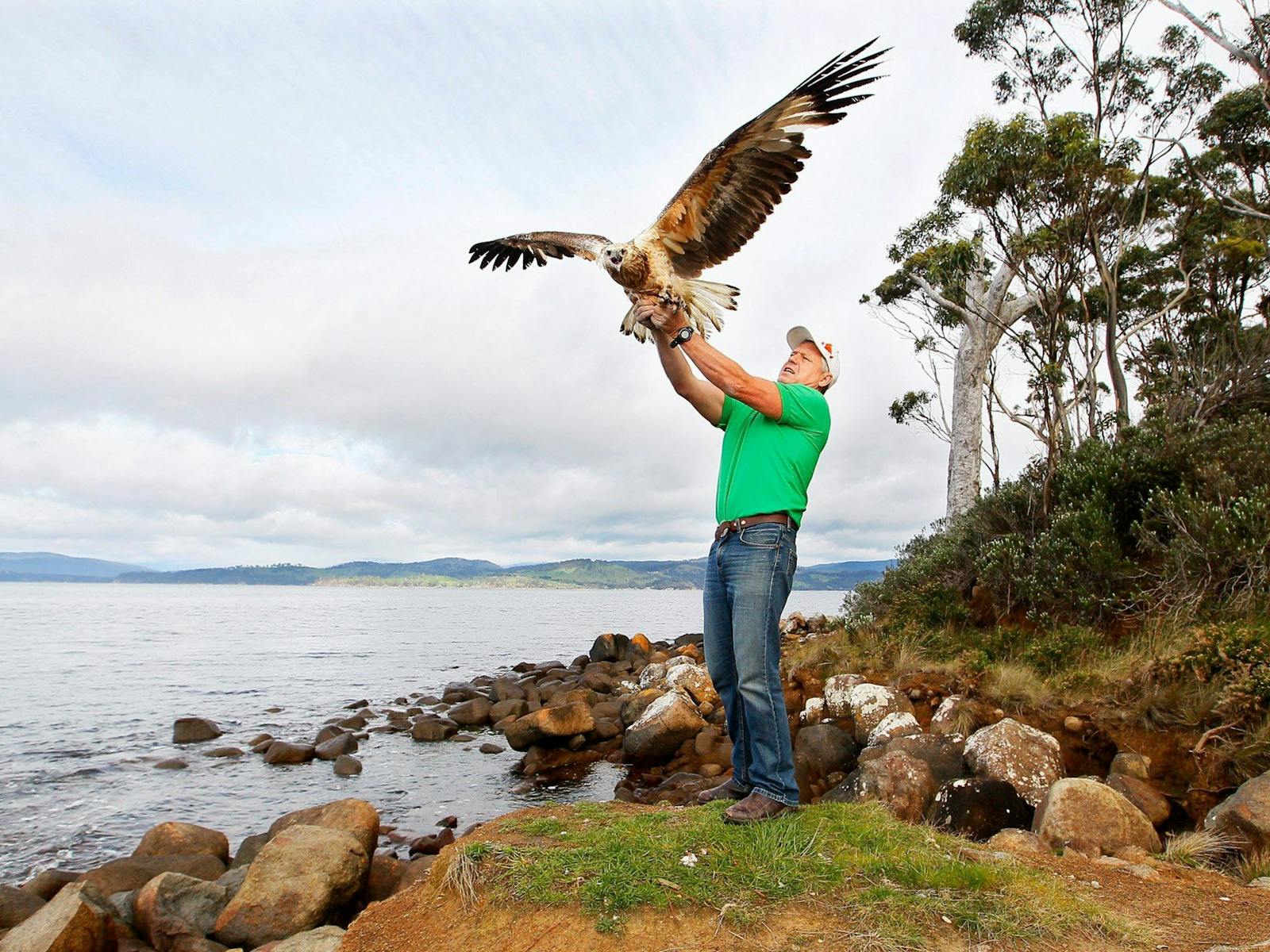 Photo of Craig Webb releasing an eagle into the wild