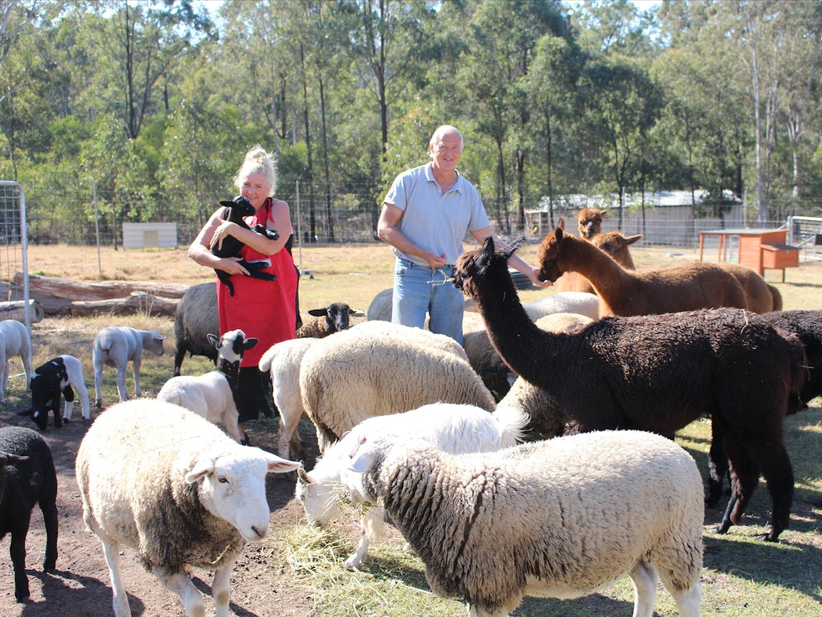 Haigslea EWE-Nique