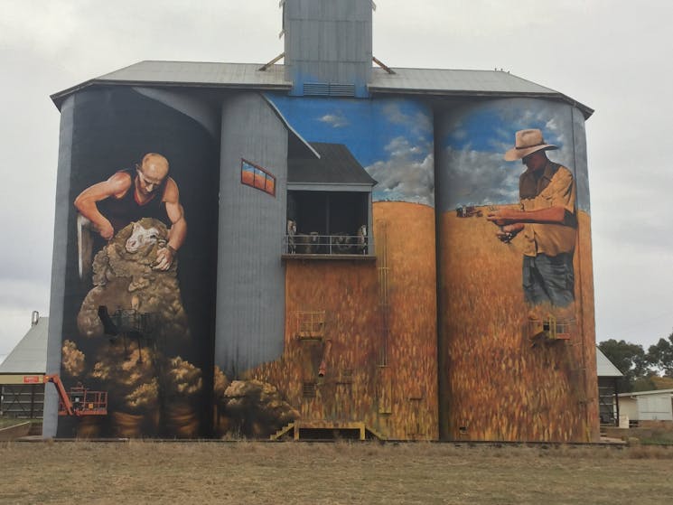 The silo art represents the community of Weethalle and painted by Heesco
