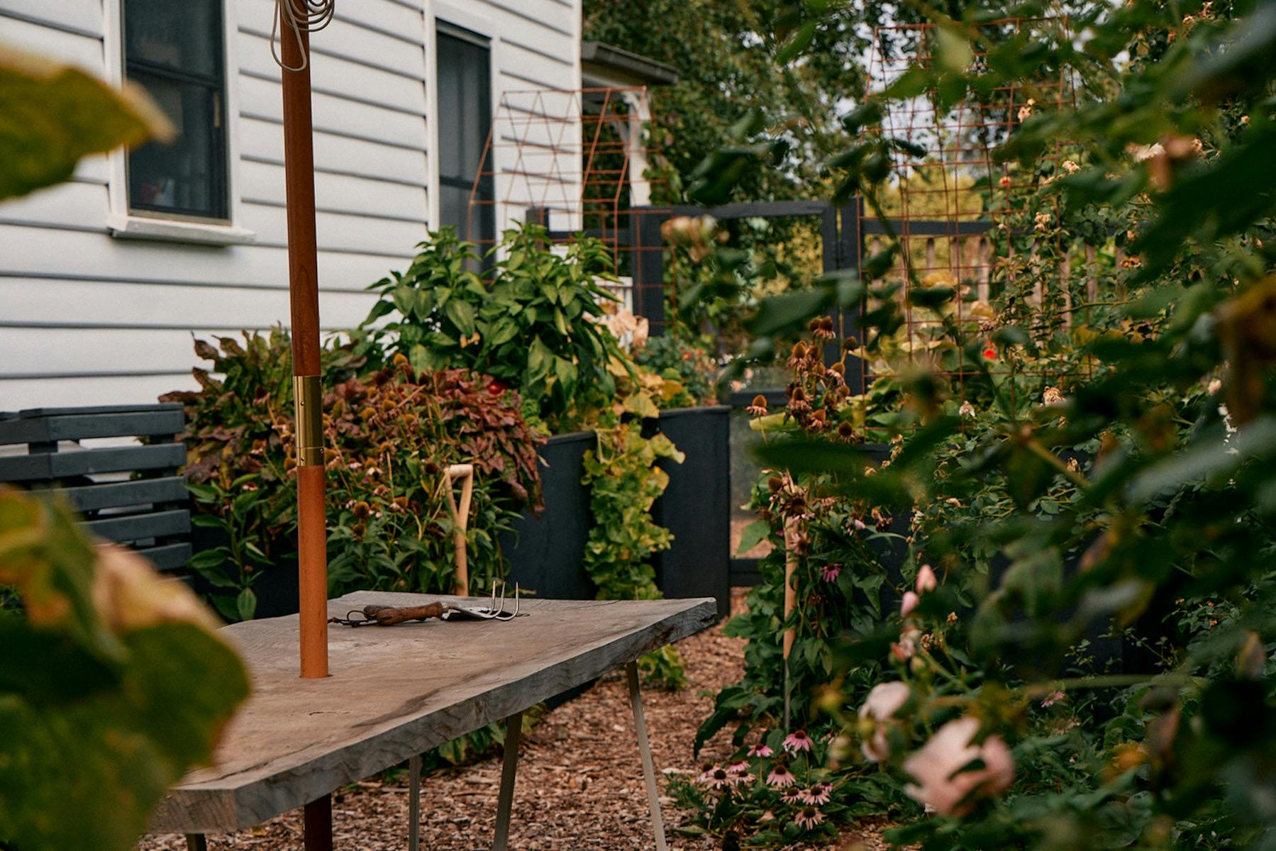 The wicking bed garden at Little Cottage on a Hill