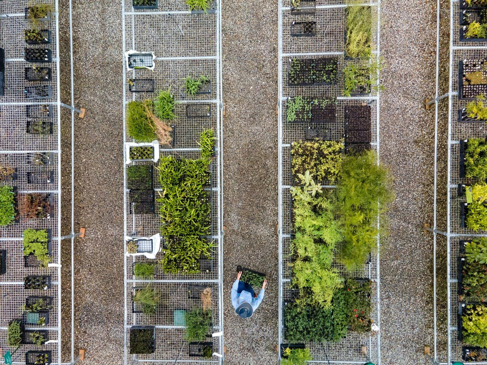 IndigiScapes Native Nursery