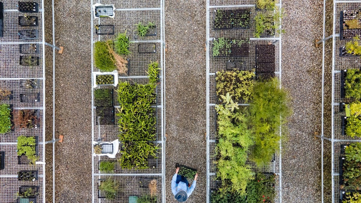 IndigiScapes Native Nursery