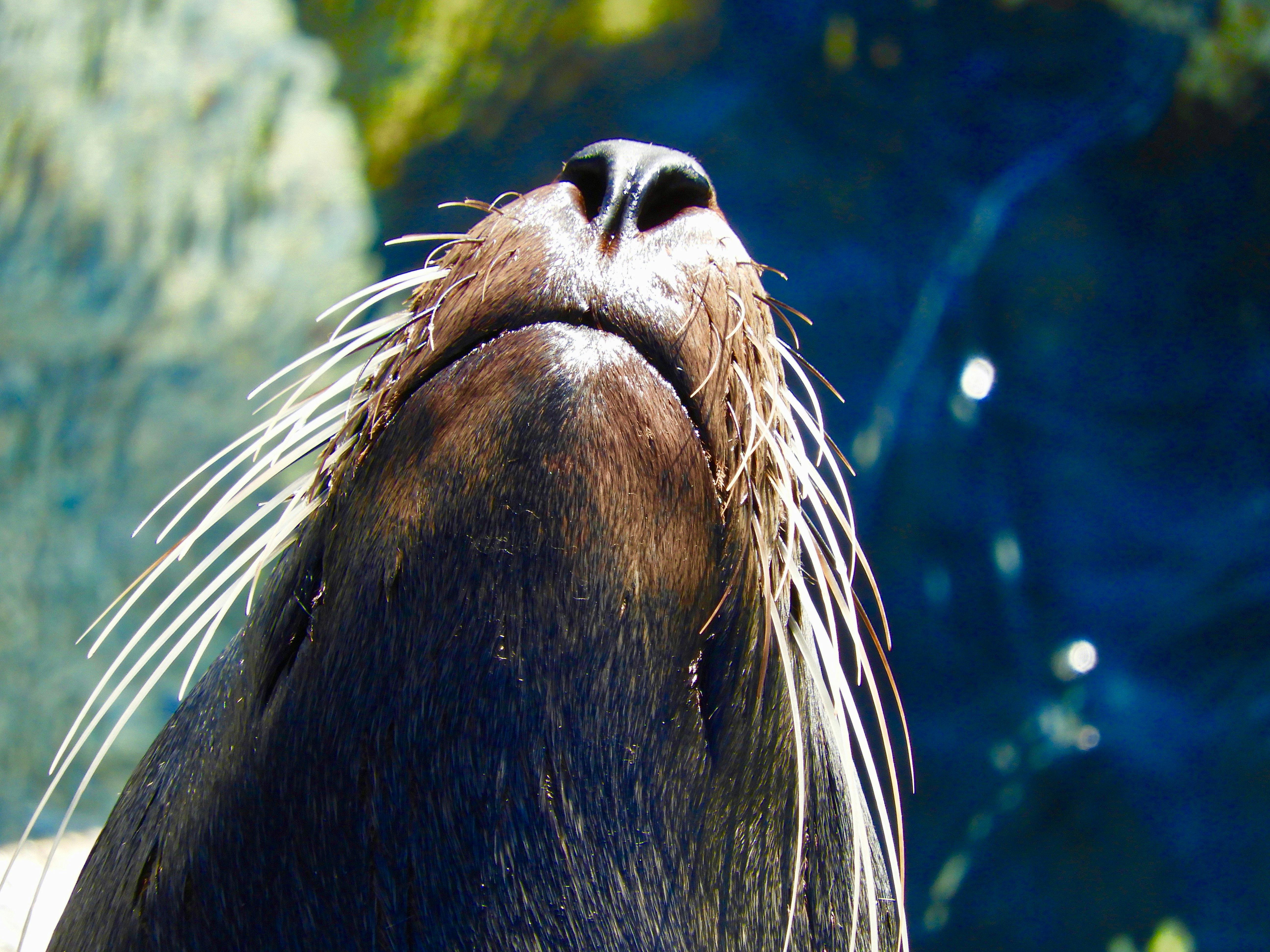 Narooma and Tilba Valley Private Tour