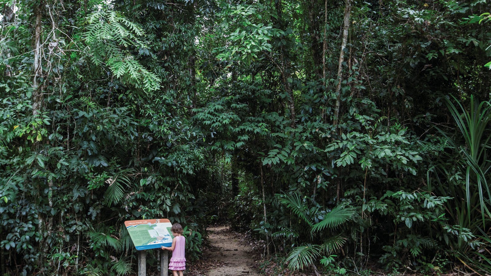 Djiru National Park