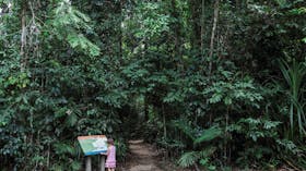 Djiru National Park