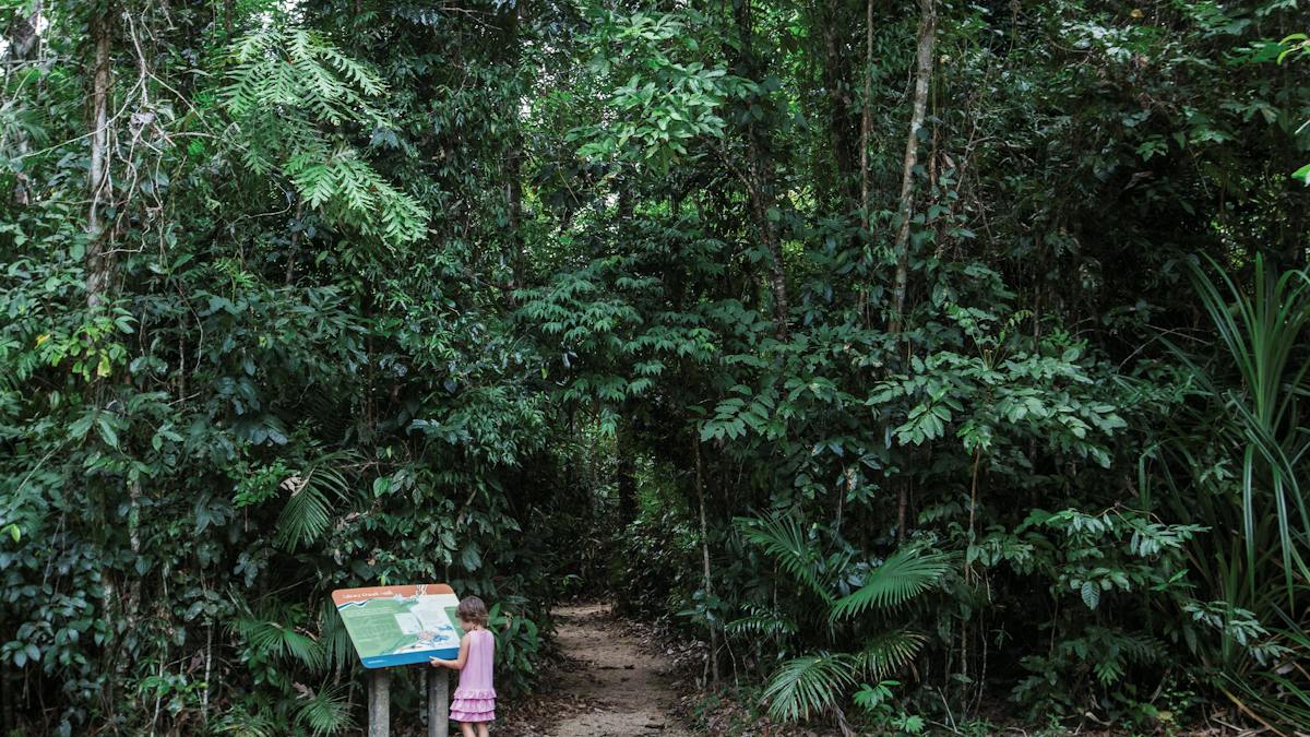 Djiru National Park | Attractions | Queensland